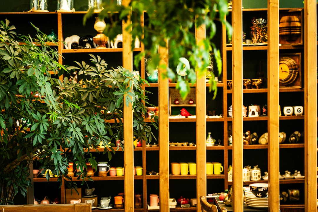 Houten winkelschappen met decoratie en planten